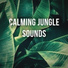 Calming Forest