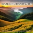 Ruhige Musik, Entspannungsmusik, Schlafmusik