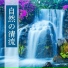 森の川