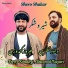 Feroz kondozi, Dawood Nazari