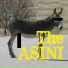 TheASINI