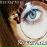 Kay Kay Vilu