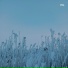 Encoded Feel