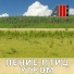 AllVideo