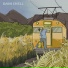 Dani Shell