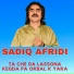 Sadiq Afridi