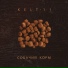 KELT-11