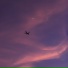 CXSMPX