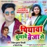 Shivani Singh, Vivek Kumar Tripathi