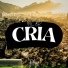 Mc BR