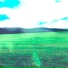 levrost