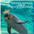 King Dolphin