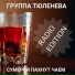 Группа Тюленева
