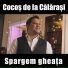 Cocos de la Calarasi
