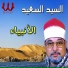 Sheikh El Sayed Sa3ed