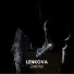 Lenkova