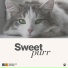 Music For Cats