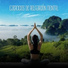 Reiki Consorte de Curación