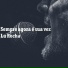 Lu Rocha