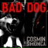 Cosmin Simionica