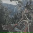 Jinsei