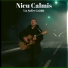 Nicu Calmis