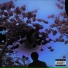 Vin-G & Fresh