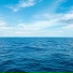 MHNY TAPE