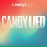 Lowly Light