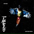 TMPLE