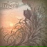 Itinera