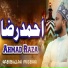Habibullah Misbahi