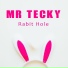 Mr Tecky