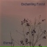 Enchanting Forest