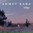 Ahmet kara