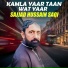 Sajjad Hussain Saqi