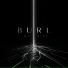 Burl