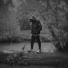 POLVRIS, V3NTOY