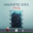 Magnetic Soul (DNB)