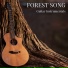 Guitar Instrumentals