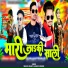 Mukesh Kharte, Rakesh Dudwe