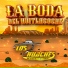 LOS HUACHES DE TIERRA CALIENTE