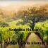 Andreea Haisan