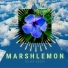 Marshlemon