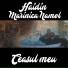 Haidin