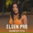 Elsen Pro
