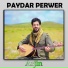 Paydar Perver