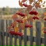Серëга20