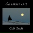 Odd Sundt