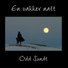 Odd Sundt